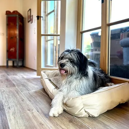 木屋 Zwei Am Tegernsee 